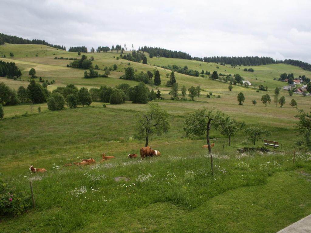 Отель Haus Tannenhof Ibach Экстерьер фото